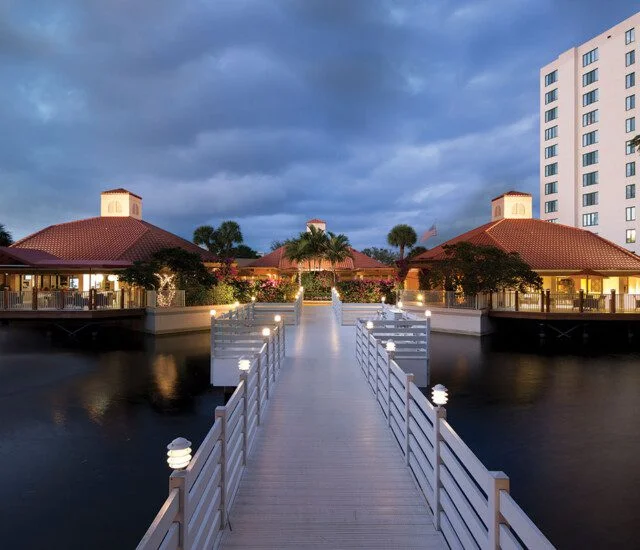 A lit up bridge at night