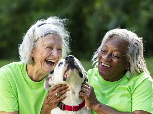 Two older women volunteering their time with a rescue dog.