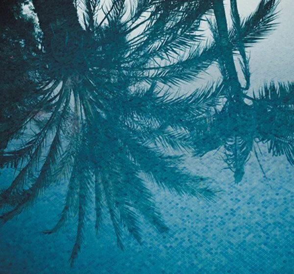 25-WFD-057-Web-Image (1)