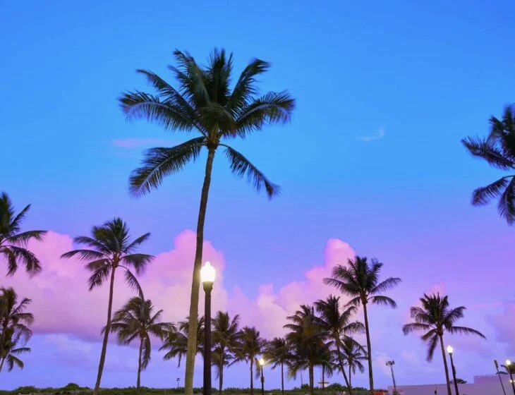 Community Life, Health and Wellness