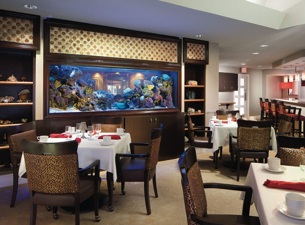 Communal dining area with a large fish tank set into the wall