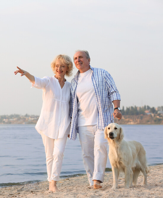 A senior couple walking on a beach with a golden retriever