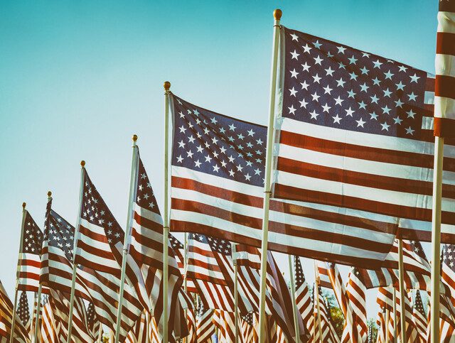 Many American flags lined up next to each other