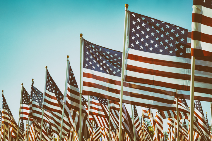 Many American flags lined up next to each other